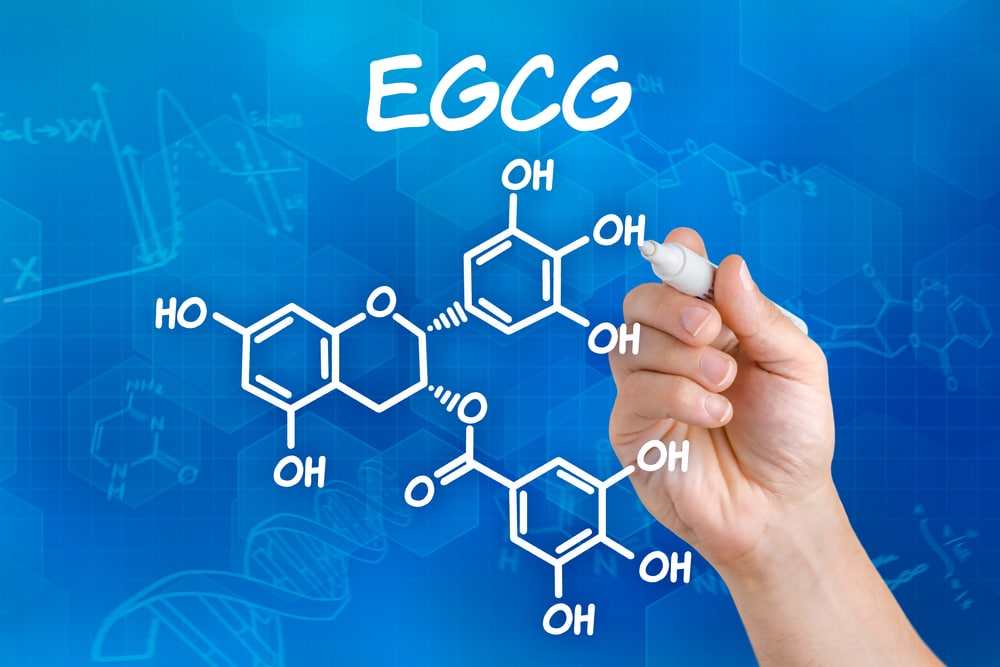 ECGC