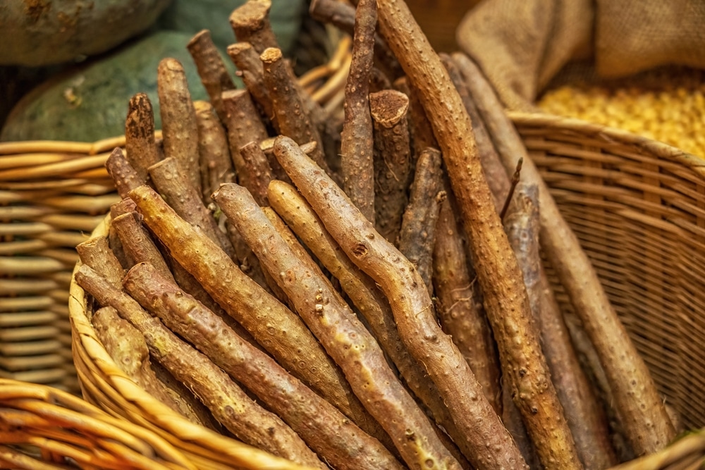 Organic Burdock Root